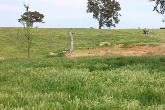 Main view of Homely rural property listing, 10314 Wee Jasper Road, Yass NSW 2582
