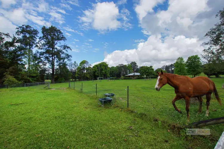 Seventh view of Homely rural property listing, 61D McPhersons Road, Nana Glen NSW 2450