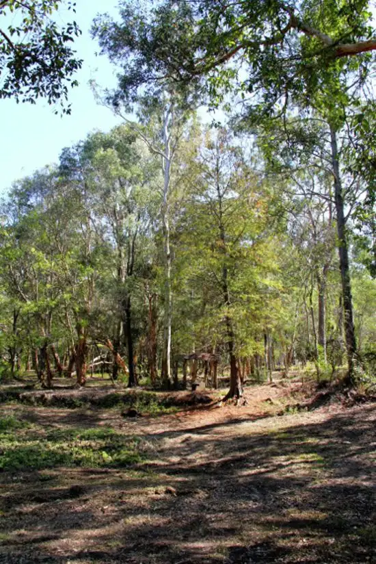 Third view of Homely house listing, 33 Penarth Street, Runcorn QLD 4113