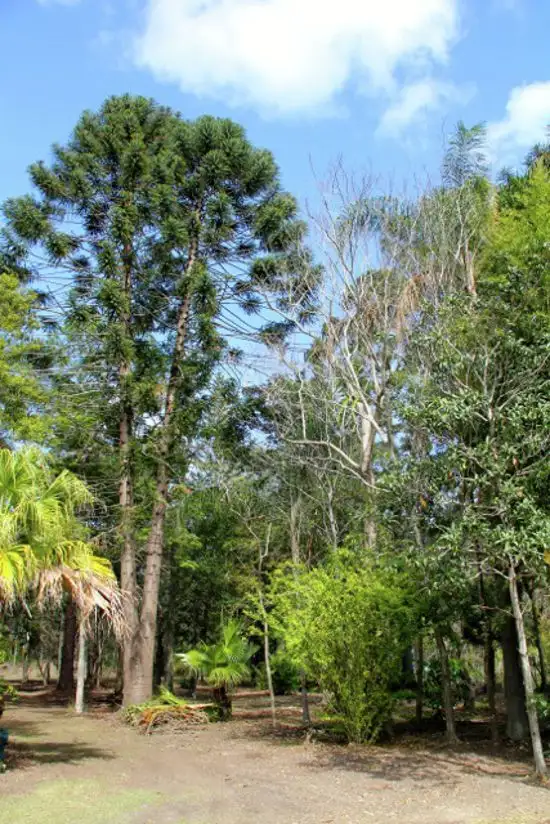 Fifth view of Homely house listing, 33 Penarth Street, Runcorn QLD 4113