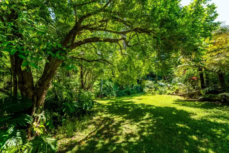 Sixth view of Homely rural property listing, 17 Repton Road, Repton NSW 2454