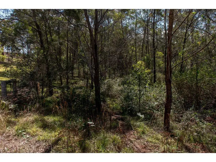 Fifth view of Homely land listing, 55 Forest Drive, Hampton QLD 4352