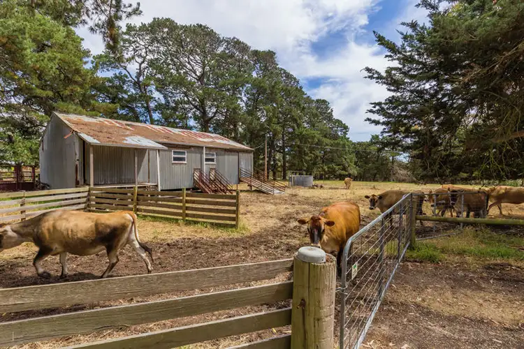 Fourth view of Homely rural property listing, 1490 Hendy Main Road, Paraparap VIC 3240