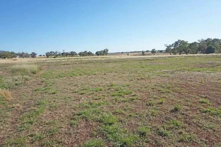Fourth view of Homely land listing, 12 De Salis St, Old Junee NSW 2652