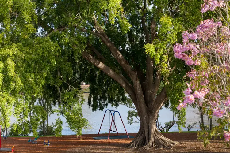 Fifth view of Homely house listing, 37 Orleigh Street, West End QLD 4101