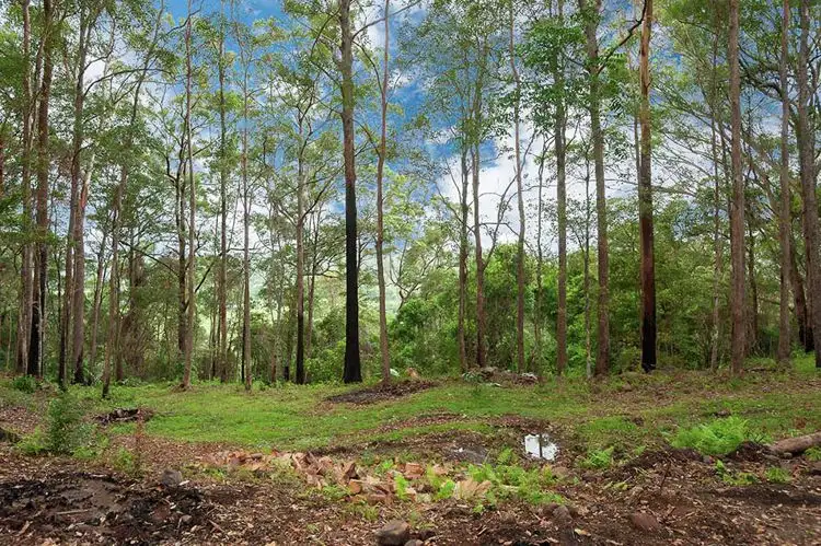 Seventh view of Homely house listing, 188 Upper Rosemount Road, Rosemount QLD 4560