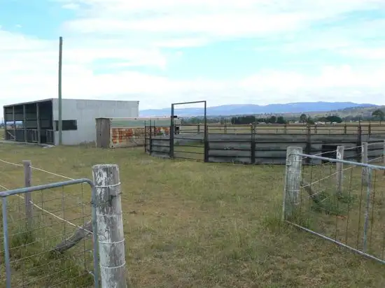 Third view of Homely rural property listing, 279 Mareeba Road, Parkville NSW 2337