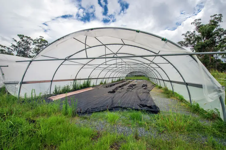 Fifth view of Homely rural property listing, 684 & 720 Parker Road, Lanitza NSW 2460