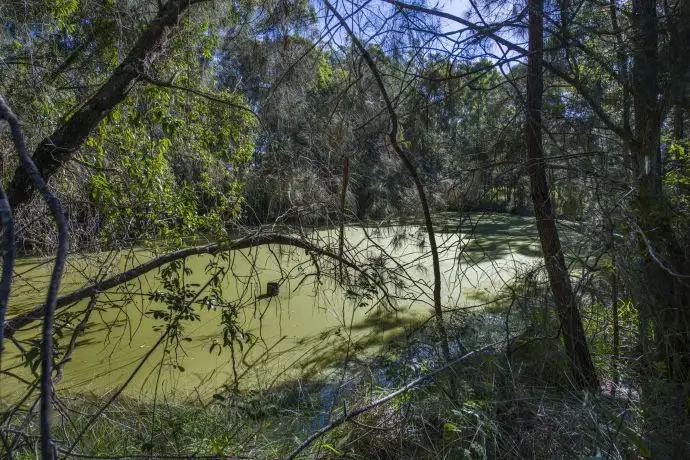 Third view of Homely rural property listing, 98 Tramway Drive, Woolgoolga NSW 2456