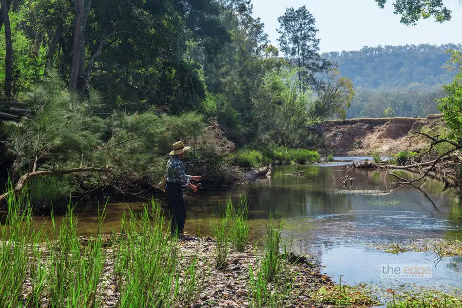 Main view of Homely rural property listing, 2517 Orara Way, Glenreagh NSW 2450