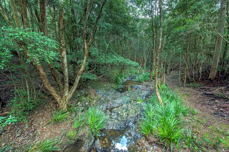 Third view of Homely rural property listing, 417 Orara Way, Coramba NSW 2450