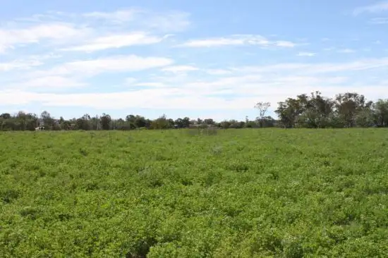 Second view of Homely rural property listing, Address available on request