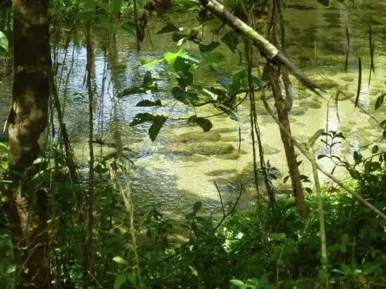 Seventh view of Homely land listing, 0 Boulders Road, Babinda QLD 4861