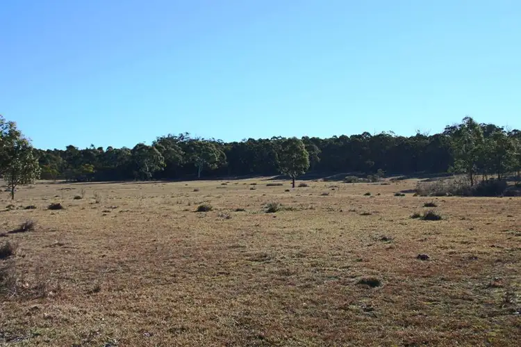 Second view of Homely rural property listing, 1331 Mount Mackenzie Road, Tenterfield NSW 2372