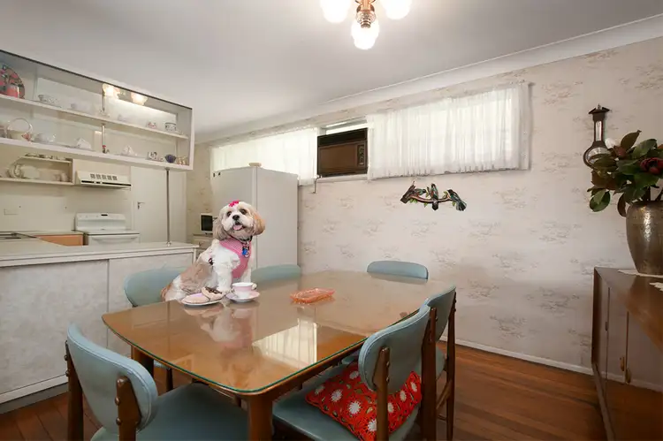 Fifth view of Homely house listing, 16 Sage Street, Carina QLD 4152
