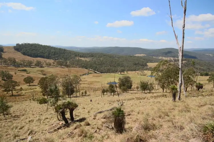 Main view of Homely rural property listing, 460 Boorook Road, Tenterfield NSW 2372