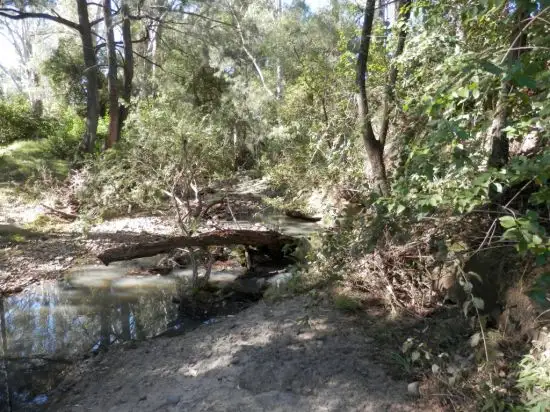 Second view of Homely land listing, 5180 Bruxner Highway, Tabulam NSW 2469