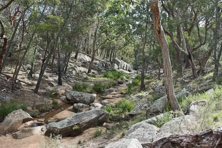 Fifth view of Homely rural property listing, 350 Gunyah Road, Tenterfield NSW 2372