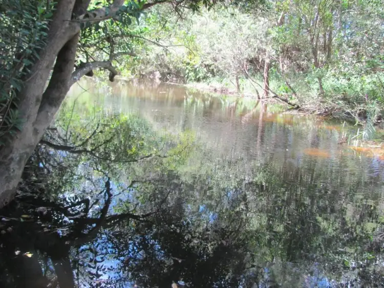 Sixth view of Homely rural property listing, 582 Taunton Road, Taunton QLD 4674
