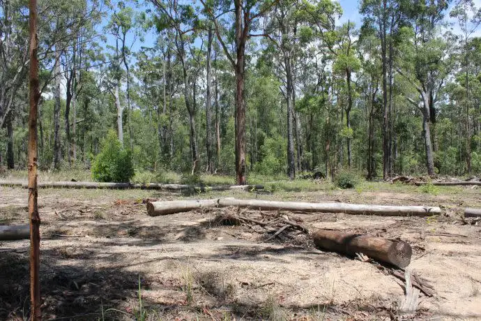 Second view of Homely rural property listing, Lot 3, 99 Barcoongere Way, Corindi Beach NSW 2456
