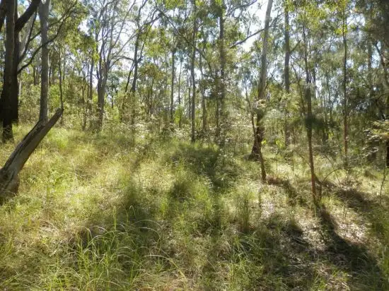 Seventh view of Homely rural property listing, Lot 5 Cyril Smith Circuit, Tabulam NSW 2469