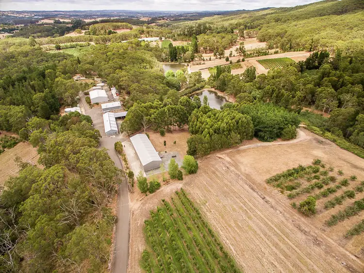 Main view of Homely rural property listing, Lot 68 Swamp Road, Lenswood SA 5240