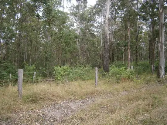 Sixth view of Homely rural property listing, Lot 1 Mills Rd, Old Bonalbo NSW 2469