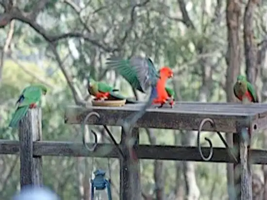 Second view of Homely rural property listing, Lot 21 Private Road 3, Bucketty NSW 2250