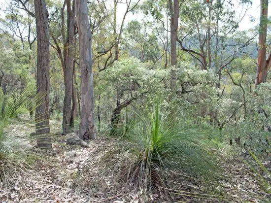 Fourth view of Homely rural property listing, Lot 21 Private Road 3, Bucketty NSW 2250