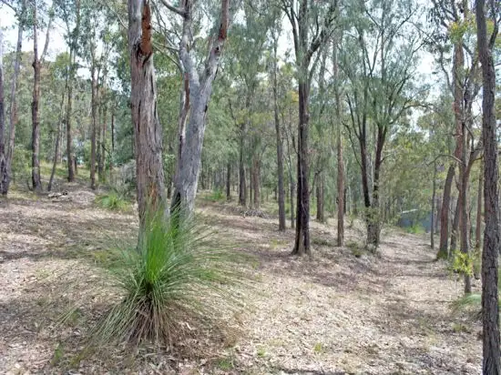 Fifth view of Homely rural property listing, Lot 21 Private Road 3, Bucketty NSW 2250