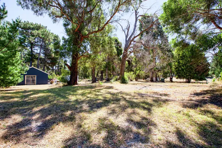 99 White Beach Road, White Beach TAS 7184