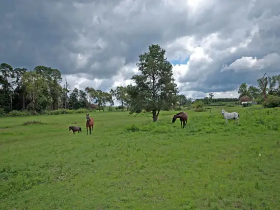 Third view of Homely rural property listing, 2583 Wisemans Ferry Rd, Mangrove Mountain NSW 2250