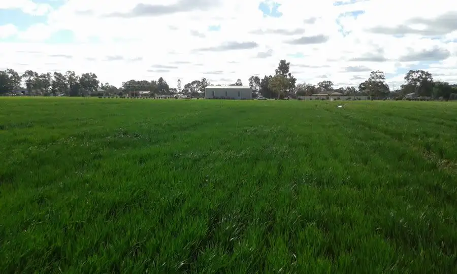 Main view of Homely land listing, 121 Budd St, Berrigan NSW 2712