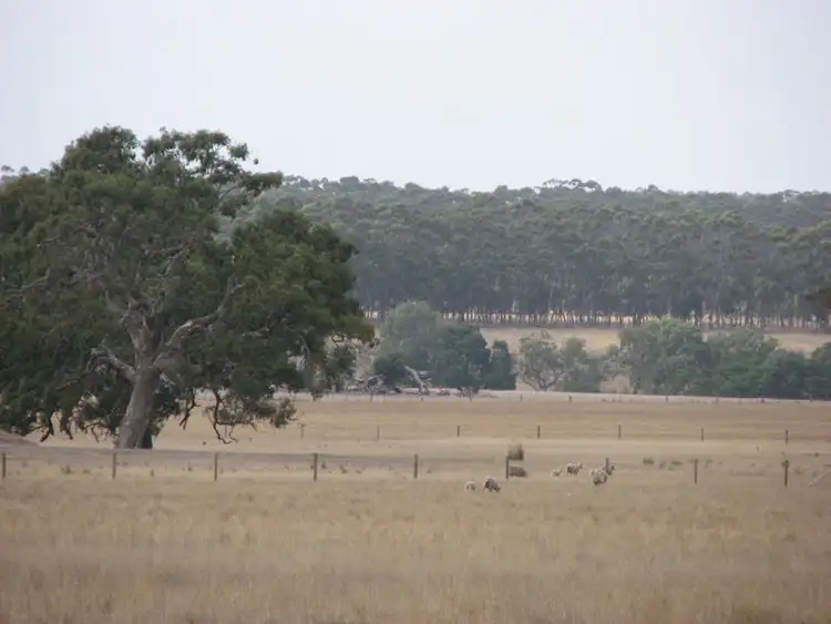 Sixth view of Homely rural property listing, 2420 Mortlake-Ararat Road, Woorndoo VIC 3272