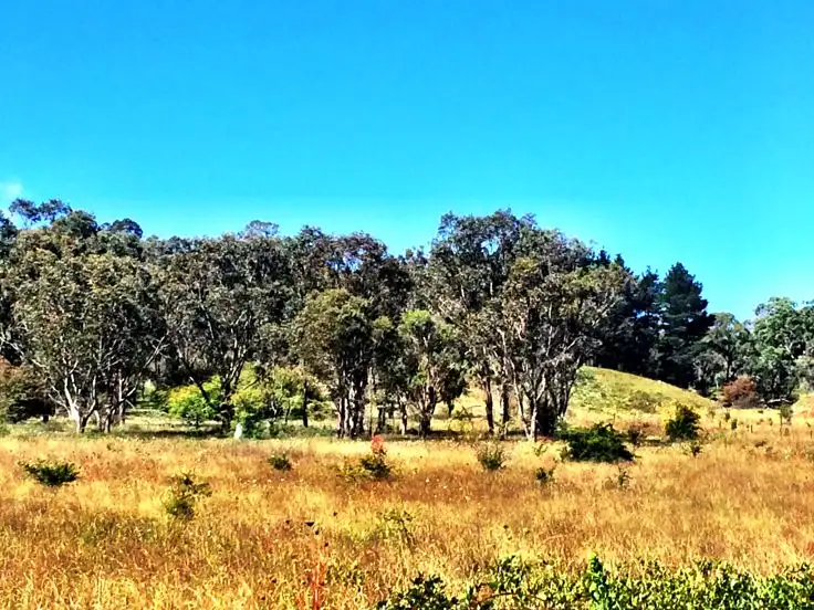 Sixth view of Homely land listing, Lot 6, 35-65 Box Hill Drive, Armidale NSW 2350