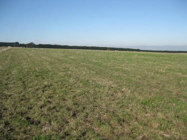 Second view of Homely rural property listing, 340 Buckley Road North, Buckley VIC 3240
