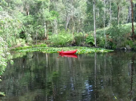 Main view of Homely rural property listing, 5441 George Downes Drive, Bucketty NSW 2250