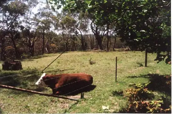 Fifth view of Homely rural property listing, Address available on request