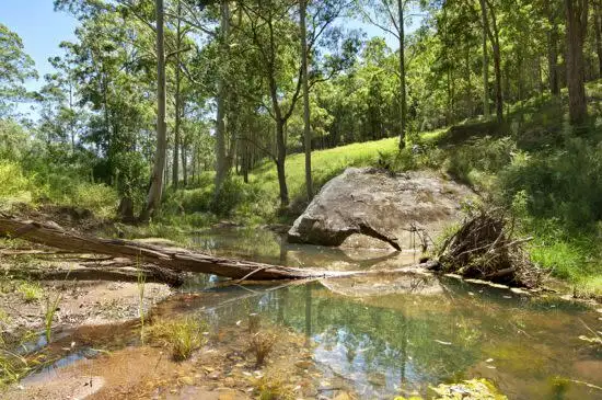 Seventh view of Homely house listing, 1592 Congewai Road, Congewai NSW 2325