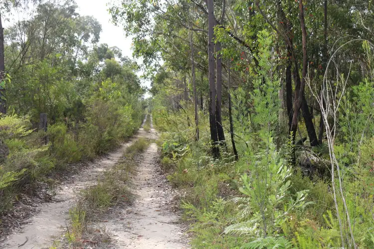 Fourth view of Homely rural property listing, 43 Walkers Ridge Road, Kulnura NSW 2250