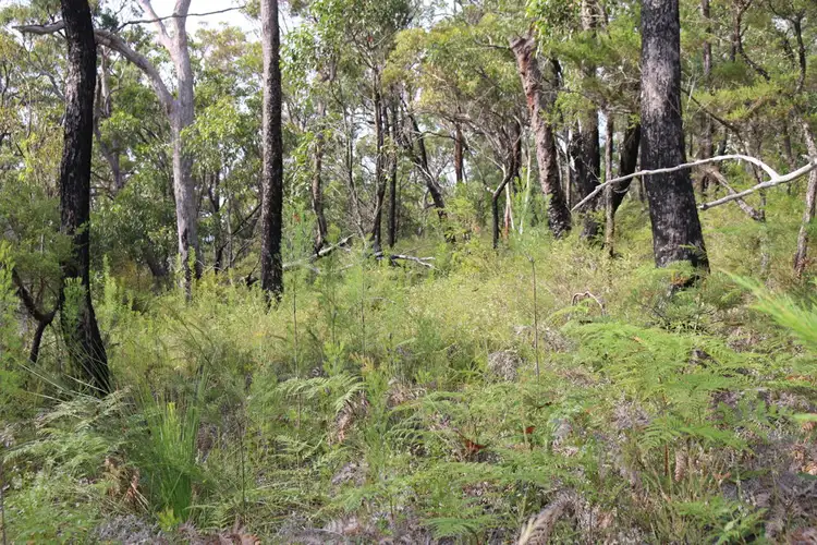 Sixth view of Homely rural property listing, 43 Walkers Ridge Road, Kulnura NSW 2250
