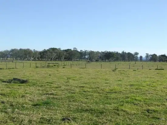 Fourth view of Homely rural property listing, Address available on request