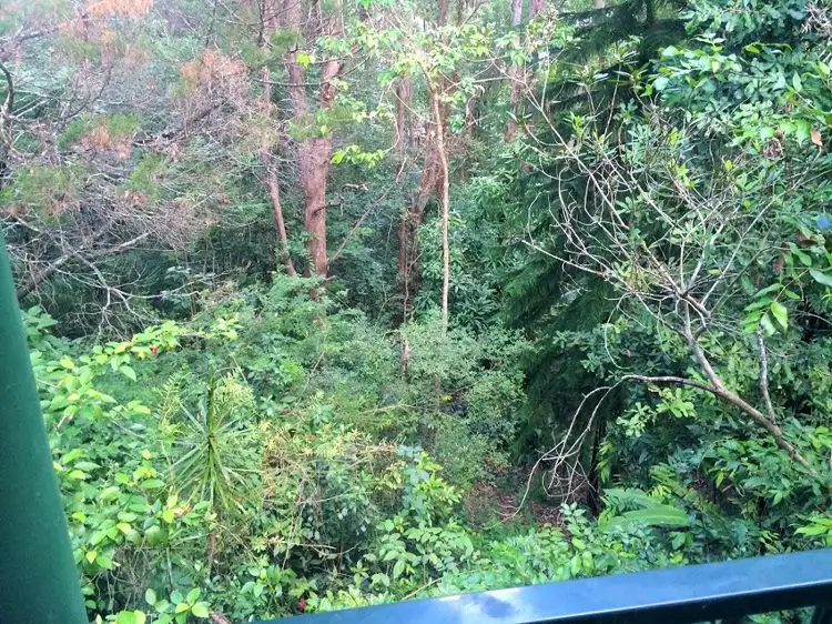 Seventh view of Homely house listing, 103 Nambour-Mapleton Road, Nambour QLD 4560