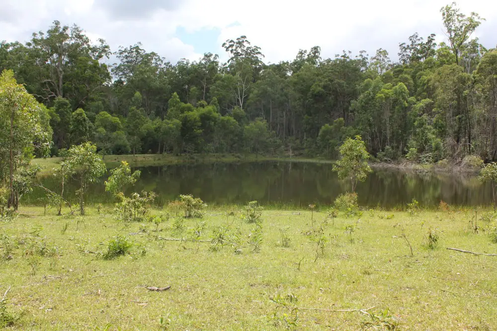 Main view of Homely rural property listing, Lot 30 Bald Knob Tick Gate Road, Halfway Creek NSW 2460