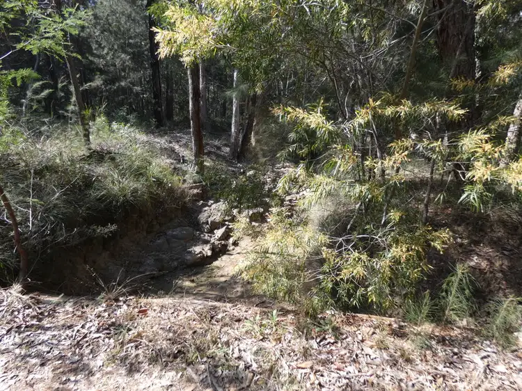Fifth view of Homely rural property listing, Lot 30 Bald Knob Tick Gate Road, Halfway Creek NSW 2460