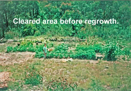 Main view of Homely rural property listing, Address available on request