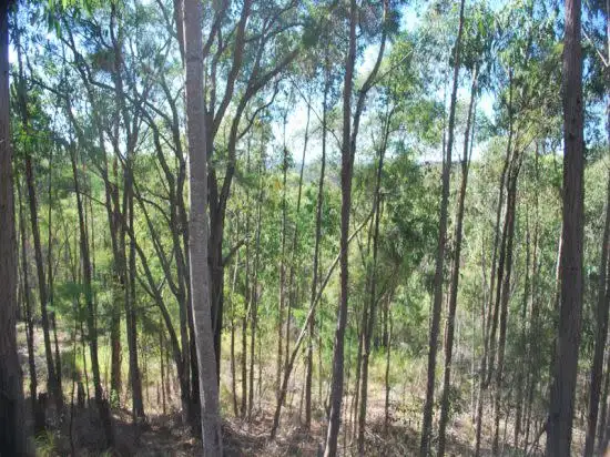 Second view of Homely rural property listing, Address available on request