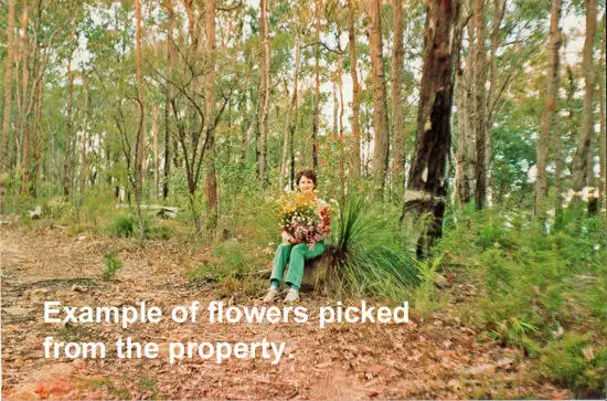 Third view of Homely rural property listing, Address available on request