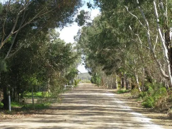 Third view of Homely land listing, 5 Pellaring Lane, via, Mannum SA 5238