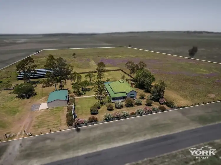949 Clifton Pittsworth Road, Back Plains QLD 4361